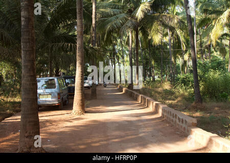 Zufahrt für den Anjuna Strand in Nord-Goa, Indien mit hohen Kokospalmen Stockfoto