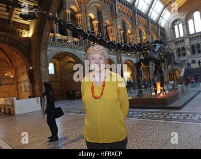 Kat Nilsson, Leiter der nationalen öffentlichen Programme im Natural History Museum, London, neben dem Replikat-Modell von Dippy Diplodocus auf dem Display in Hintze Hall vor seiner bundesweiten Tournee als Arbeit beginnt, nehmen Sie die beliebte Ausstellung. Stockfoto