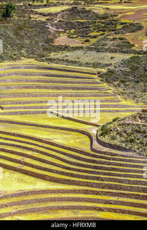 Die Inka-Stätte von Moray, in der Nähe von Cuzco, Peru. Geglaubt, um ein experimentelles landwirtschaftliches Zentrum Stockfoto