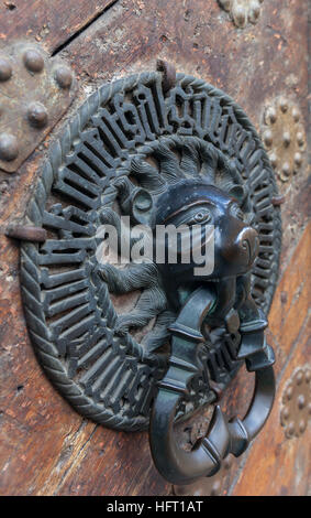 Lion Head Türklopfer, Griffe antike Bronze auf alte Eiche Stockfoto