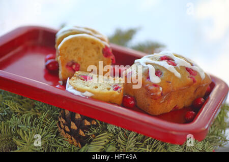 Kleine Brot Kuchen mit frischen Preiselbeeren auf einem roten Tablett über Evergreens und einem Tannenzapfen Stockfoto