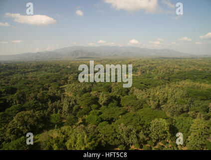 Wald in der Draufsicht, Lampang, Nord-Thailand Stockfoto