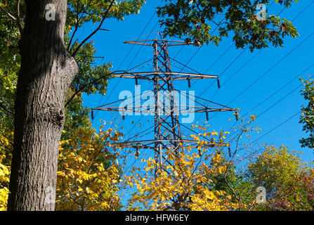 Stromleitungen Sie in der Natur, Hochspannung Post oder Hochspannung Turm in einen schönen herbstlichen Wald, Hochspannungsleitungen Stockfoto