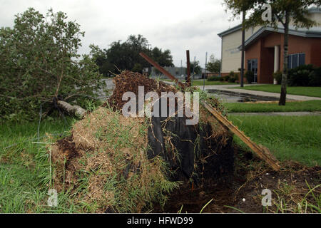 080902-N-3285B-022 NEW ORLEANS (2. September 2008) legt ein umgestürzten Baum vor dem Fitness-Center am Naval Air Station gemeinsame Reserve Base (NAS JRB) New Orleans. Die Marine Engineering übernommen, Südost-Schaden-Assessment-Team unterstützen NAS JRB und Naval Support Activity New Orleans, bei der Beurteilung der Schäden an den Anlagen nach Hurrikan Gustav. (Foto: U.S. Navy Mass Communication Specialist 2. Klasse Regina L. Brown/freigegeben) US Navy 080902-N-3285B-022 A gefallenen Baum legt vor des Fitness-Centers am Naval Air Station gemeinsame Reserve Base (NAS JRB) New Orleans Stockfoto