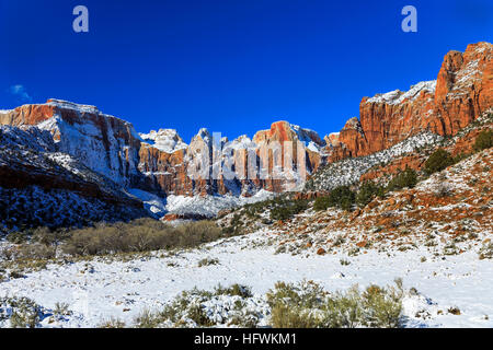 Der "Tempel und Türme" Bereich des Zion National Park in der Nähe von Springdale, Utah, USA mit einer frischen Schnee. Stockfoto