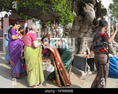 Indianerfest - MwSt Savitri: Frau binden Faden um Banyan-Baum Stockfoto