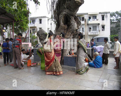 Indianerfest - MwSt Savitri: Frau binden Faden um Banyan-Baum Stockfoto