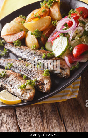 Gebratene Sardinen mit Kartoffeln und Salat aus frischem Gemüse Nahaufnahme auf einer Platte. Vertikal Stockfoto