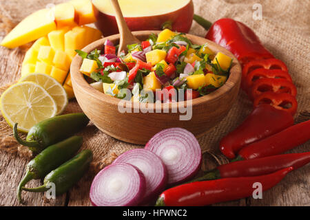 Salsa mit Mango, Koriander, Zwiebeln und Paprika in eine Schüssel geben und die Zutaten auf dem Tisch hautnah. Horizontale Stockfoto