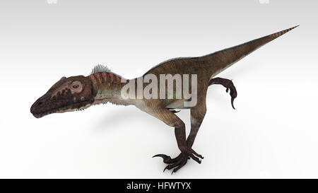 3D Darstellung der Utahraptor isoliert auf weiss Stockfoto