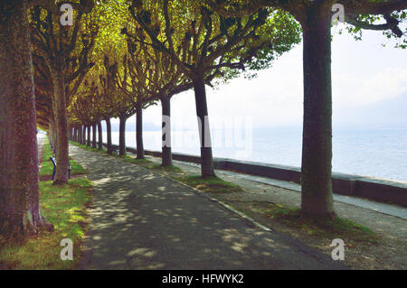 von Bäumen gesäumten Weg in Aix-Les-Bains am Ufer des See Bourget Stockfoto