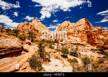 Der Weg zur Hickman Bridge ist beliebteste Wanderung Capitol Reef National Park und mit fantastischen Blick auf Waterpocket Fold und die majestätischen nat Stockfoto