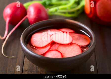 Frische Radieschen schneiden in dünne Scheiben geschnitten, eingelegt in Rotwein-Essig mit Zucker und Salz, mit Tageslicht fotografiert Stockfoto