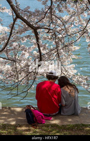 Junges Paar sitzt durch Gezeiten-Bassin während der Kirschblüte, Washington, D.C. Stockfoto
