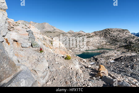 Aufsteigender Glen Pass, Kings Canyon Nationalpark, Kalifornien, Vereinigte Staaten von Amerika, Nordamerika Stockfoto