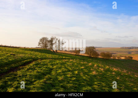 Ein Fußweg durch eine grüne Wiese mit einem eingestürzten Grabhügel auf einem Hügel in einer Yorkshire Wolds Landschaft im Winter. Stockfoto