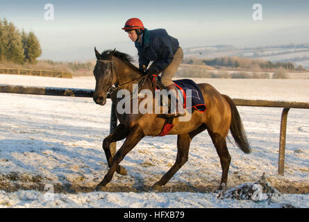 Jockey Kerl disney Reiten "faustkämpfer" einen frühen Winter Ride in den Cotswolds bei Kim bailey Rennställe. Stockfoto