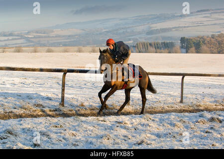 Jockey Kerl disney Reiten "faustkämpfer" einen frühen Winter Ride in den Cotswolds bei Kim bailey Rennställe. Stockfoto