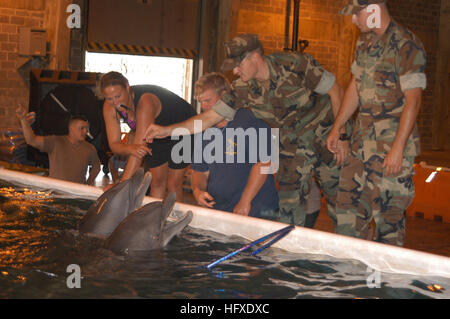 050917-N-0793G-005 Gulfport, Mississippi (17. September 2005) Ð ens Michael Dobling, Center, nimmt Teil in vier Delphine mit Institute for Marine Mammal Studies Trainer zu füttern. Die Delfine haben eine temporäre Salzwasser-Pool-Anlage in die Naval Construction Battalion Center Gulfport gelegt.  US Navy Marine Mammal Program Personal aus San Diego, Kalifornien, zur Verfügung gestellt der oberirdischen Anlage, zusammen mit anderen notwendigen Filteranlage für Meeressäugetiere kümmern musste.  Die vier Delphine, Kelly, Noah, Jackie und Toni verbrachte die letzten zweieinhalb Wochen im Golf von Mexiko, fegte se Stockfoto