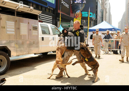 110527-N-GZ228-040 NEW YORK (27. Mai 2011) Marine Sgt. Bryan Burgess simuliert, indem zwei k-9 Kampfhunde auf Military Appreciation Day am Times Square während der Fleet Week New York 2011 angegriffen. Flotte Woche wurde New York Citys Feier des Meer-Dienstleistungen seit 1984 und ist eine Gelegenheit für die Bürger von New York und Umgebung Tristate-Matrosen, Marines und Küste Gardisten zu erfüllen, als auch aus erster Hand, sehen die Möglichkeiten von heutigen maritime Services. (Foto: U.S. Navy Masse Kommunikation Spezialist Seemann Apprentice Jesse Monford/freigegeben) US Navy 110527-N-GZ228-040 Mar Stockfoto