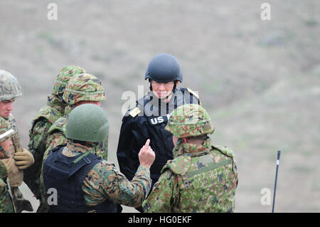 Die US-Marines und das Personal der Japan Ground Self-Defense Force führen im Rahmen der Iron Fist 2012 eine Live-Feuerschulung auf San Clemente Island durch. Die bilaterale Übung verbessert die Interoperabilität und die amphibischen Fähigkeiten zwischen den US-Streitkräften und den japanischen Seefahrts- und Bodenselbstverteidigungskräften zur Unterstützung der regionalen Bereitschaft. Stockfoto