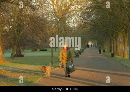 London, UK. am 3. Januar 2017.Cold und frostigen Morgen in Blackheath und Greenwich, Süd-Ost-London, UK © Claire Doherty/Alamy Live News Stockfoto