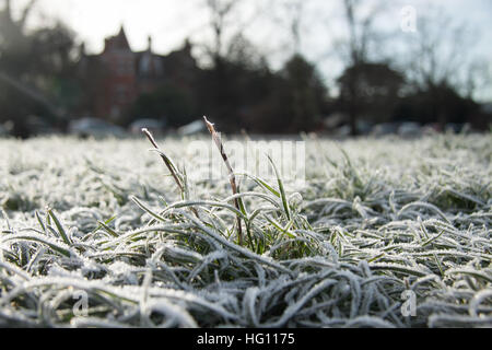 Wimbledon London, UK. 3. Januar 2017. Wimbledon Common in starkem Frost bedeckt an einem kalten Morgen mit Minusgraden Credit: Amer Ghazzal/Alamy Live-Nachrichten Stockfoto