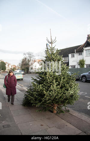 Wimbledon, London, UK. 3. Januar 2017. Ein alte Weihnachtsbaum wird verworfen, in Wimbledon High Street zur Entsorgung © Amer Ghazzal/Alamy Live-Nachrichten Stockfoto