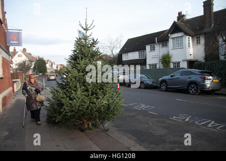 Wimbledon, London, UK. 3. Januar 2017. Ein alte Weihnachtsbaum wird verworfen, in Wimbledon High Street zur Entsorgung © Amer Ghazzal/Alamy Live-Nachrichten Stockfoto