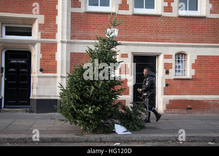 Wimbledon, London, UK. 3. Januar 2017.  Ein alte Weihnachtsbaum wird verworfen, in Wimbledon High Street zur Entsorgung © Amer Ghazzal/Alamy Live-Nachrichten Stockfoto