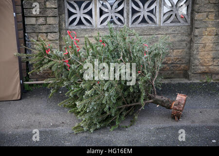 Harringay, Nord-London, UK 4. Januar 2017 - verlassene Weihnachtsbäume liegen in der Straße von Harringay, Nord-London, nach Weihnachten Urlaub Kredit: Dinendra Haria/Alamy Live News Stockfoto