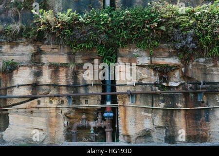 Rohre in den Wänden geschnittenen Sanstone Cockatoo Island mit Pflanzen sorgen für ein Nebeneinander von Materialien, Natur und vom Menschen geschaffenen Objekte Stockfoto