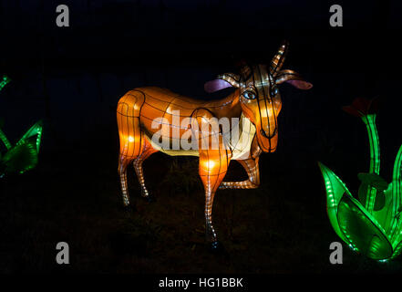 BEEKSE BERGEN, Niederlande - Dezember 29 2016:african Lichterfest mit afrikanischen Tieren Kunst voller Lichter im Beekse Bergen am 29. Dezember das Stockfoto