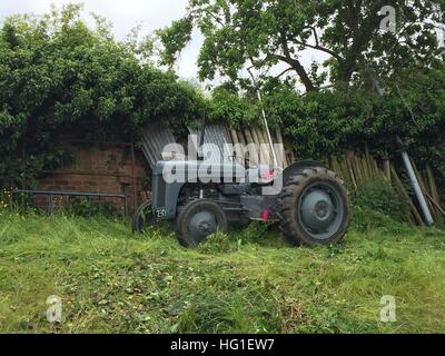 Kleine graue Fergie te20 Traktor bei der Arbeit Stockfoto