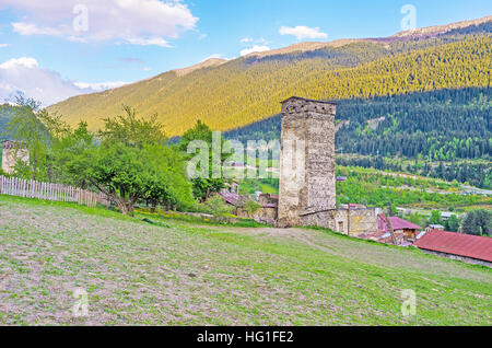 Die malerische Berglandschaft mit grünen Nadelwälder auf der Piste, Gepflügtes Wiese und alte Svan tower, Mestia, obere Swanetien, Georgia. Stockfoto