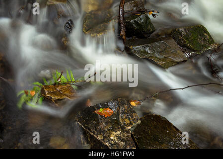 Eine lange Belichtung eines Flusses zeigt den Fluss des Wassers Stockfoto