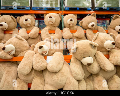 Riesigen Teddybären sind zum Verkauf an ein Display in einem Laguna Niguel, CA, Costco big Box speichern. Stockfoto