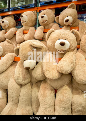 Riesigen Teddybären sind zum Verkauf an ein Display in einem Laguna Niguel, CA, Costco big Box speichern. Stockfoto