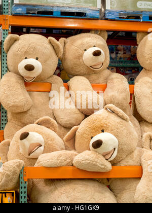 Riesigen Teddybären sind zum Verkauf an ein Display in einem Laguna Niguel, CA, Costco big Box speichern. Stockfoto