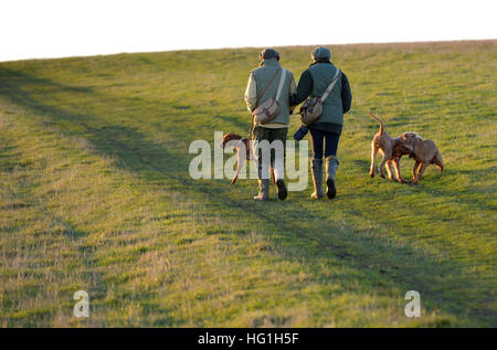 Land Paare, die Hunde auf der South Downs Way Stockfoto