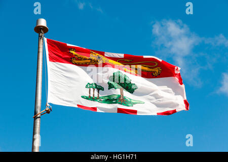 Prince Edward Island Flagge - Kanada Stockfoto