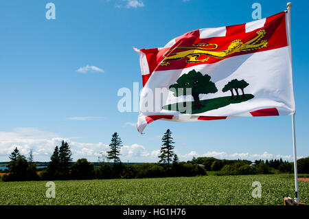 Prince Edward Island Flagge - Kanada Stockfoto