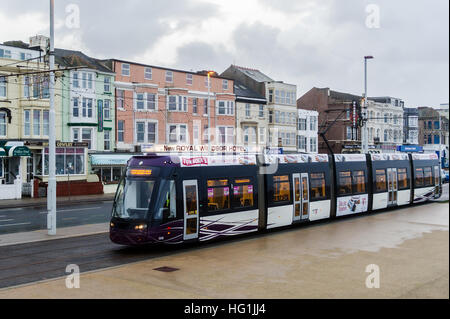 Flexitys Straßenbahn Nr. 006 verläuft entlang Blackpool Promenade Richtung Fleetwood vom Starr Gatter in Blackpool, Lancashire. Stockfoto