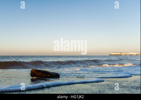 Ein Stück Treibholz angespült Blackpool Strand, Blackpool, Lancashire mit Central Pier im Hintergrund. Stockfoto