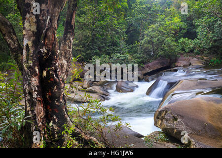 Des Teufels Pool an Babinda Boulders in Queensland, Australien Stockfoto