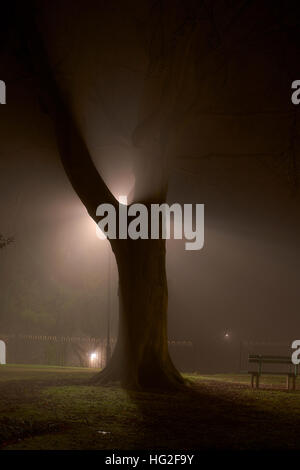 Burton On Trent - Nacht und Nebel, Spaziergang im Park am Fluss Trent Stockfoto