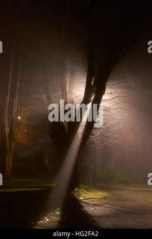 Burton On Trent - Spaziergang im Park in der Nacht und Nebel Stockfoto