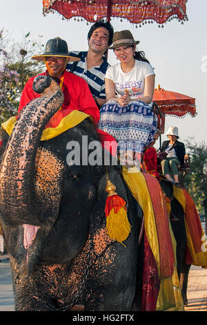 Besucher Elefantenritt Ayutthaya Thailand Stockfoto