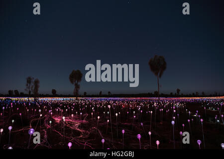Bereich des Lichts vom Künstler Bruce Monro am Ayers Rock / Uluru, Australien hat Tausende von bunten Lichtern Stockfoto