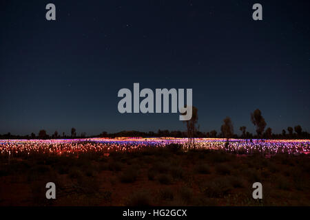 Bereich des Lichts vom Künstler Bruce Monro am Ayers Rock / Uluru, Australien hat Tausende von bunten Lichtern Stockfoto